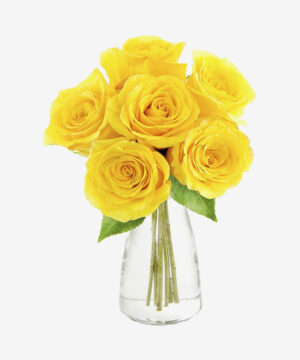 Yellow Roses Classic Dozen Yellow Rose Bouquet